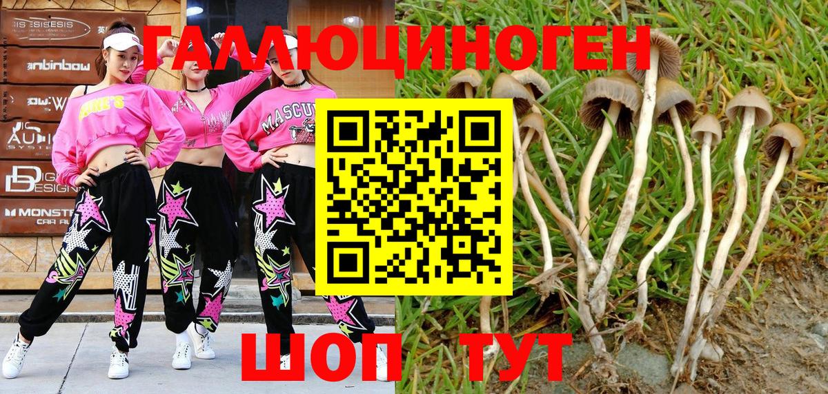 Кореновск  Галлюциногенные грибы GOLDEN TEACHER  Галлюциногенные грибы MAGIC MUSHROOMS  Вход с VPN 