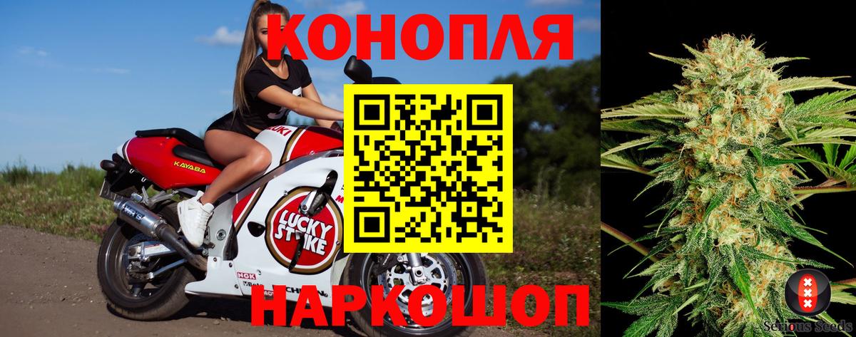 Шишки марихуана Amnesia  Бошки марихуана семена  Бошки марихуана ГИДРОПОН  Вход с VPN  Кореновск 